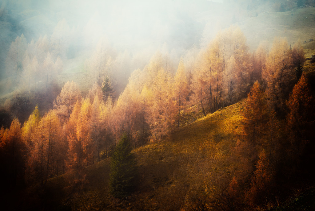Landscapes - autumn