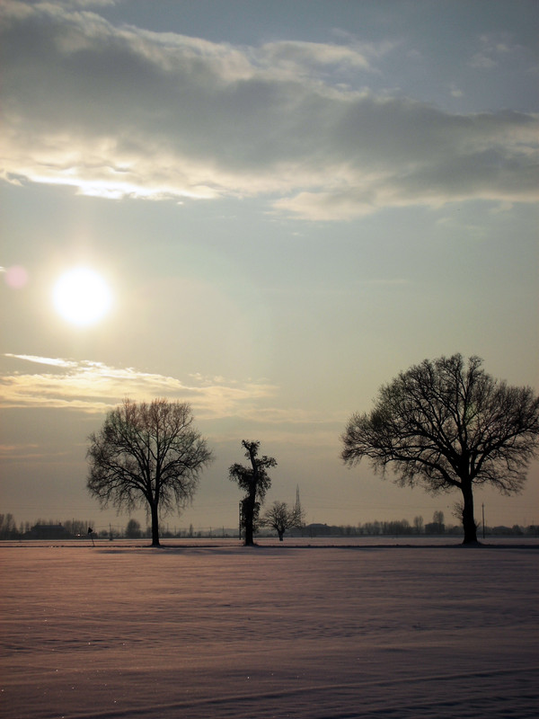 Landscapes - neve a Padul City - snow in Padulle