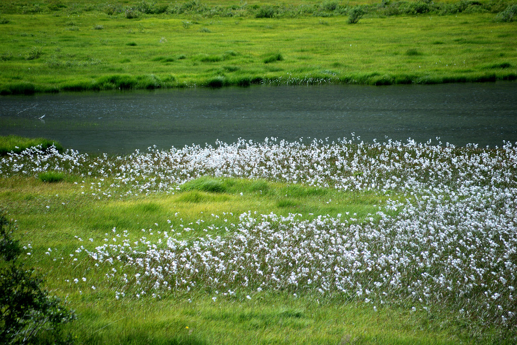 Landscapes,Nature - Miage