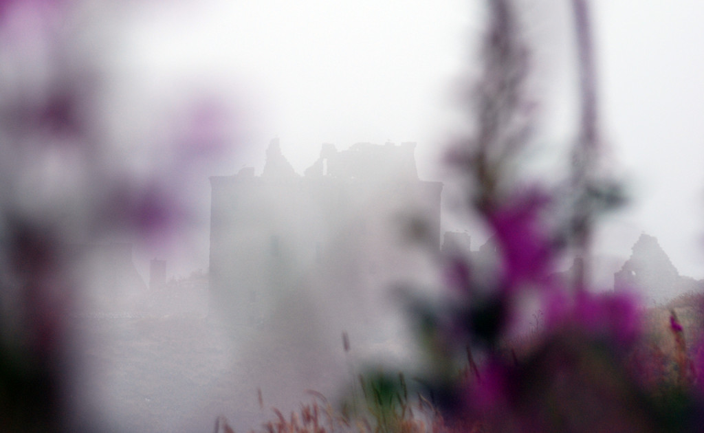 Landscapes - Dunnottar Castle - nebbia - fog
