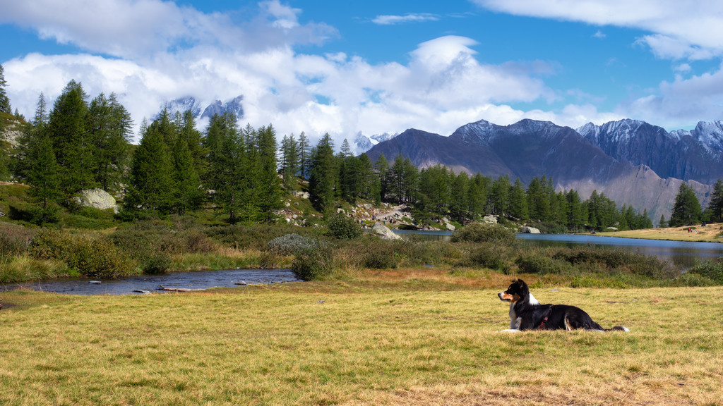 Landscapes,Maika - lago d'Arpy